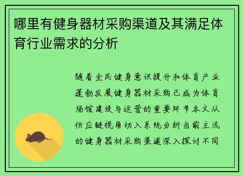 哪里有健身器材采购渠道及其满足体育行业需求的分析