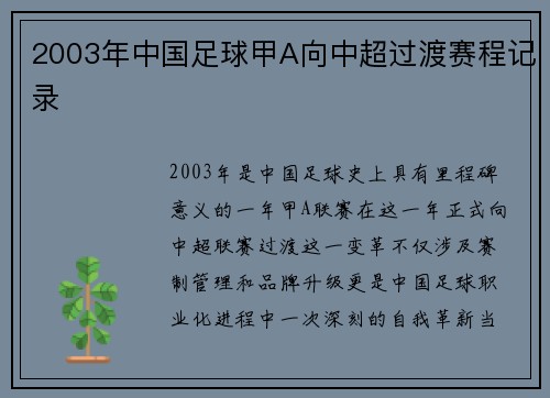 2003年中国足球甲A向中超过渡赛程记录